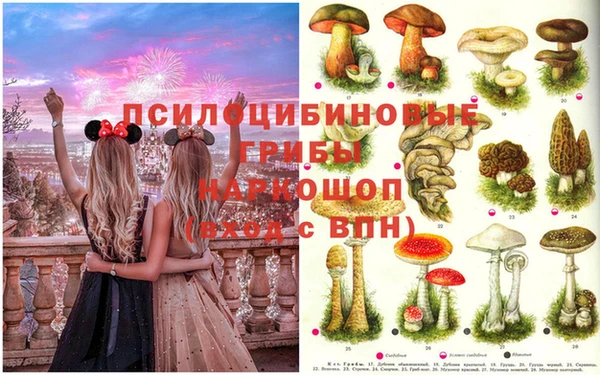 бутират Карпинск