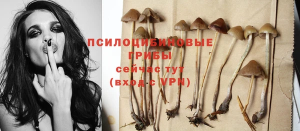 бутират Карпинск