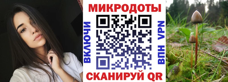 Галлюциногенные грибы Psilocybe  Купить где  Дивногорск 